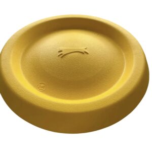 FRISBEE