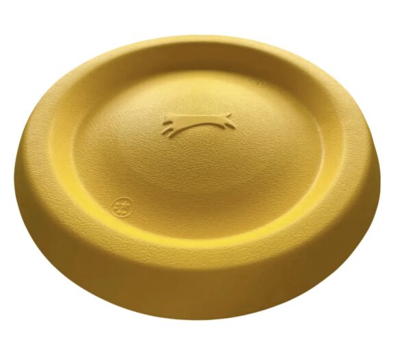 FRISBEE